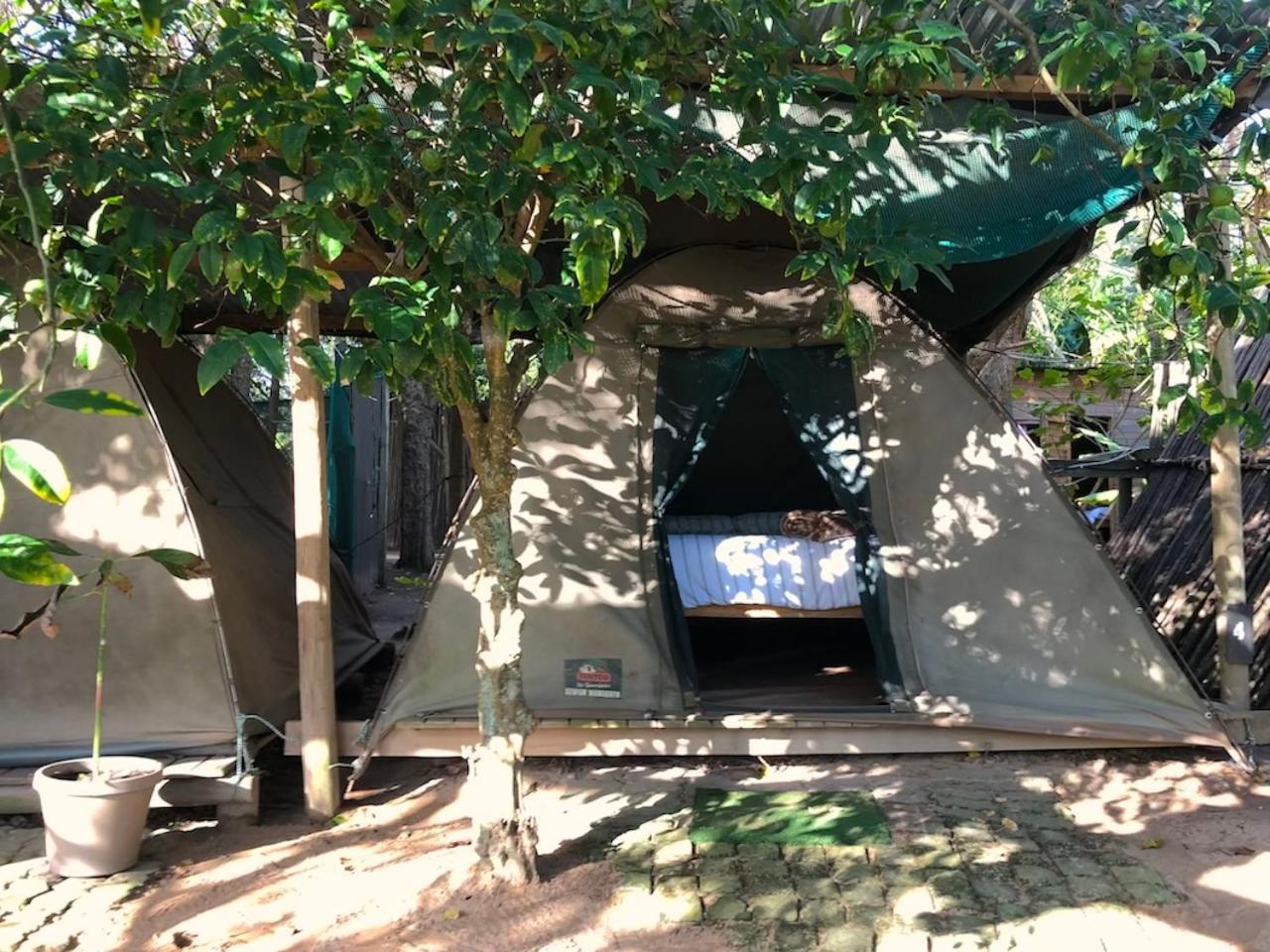 The Riverdeck Accommodation And Backpackers Книсна Екстериор снимка
