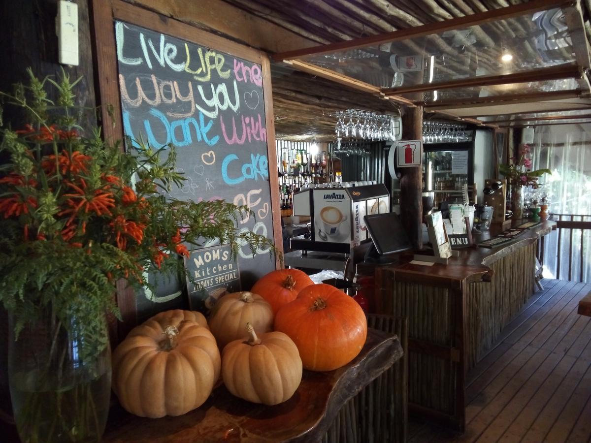 The Riverdeck Accommodation And Backpackers Книсна Екстериор снимка